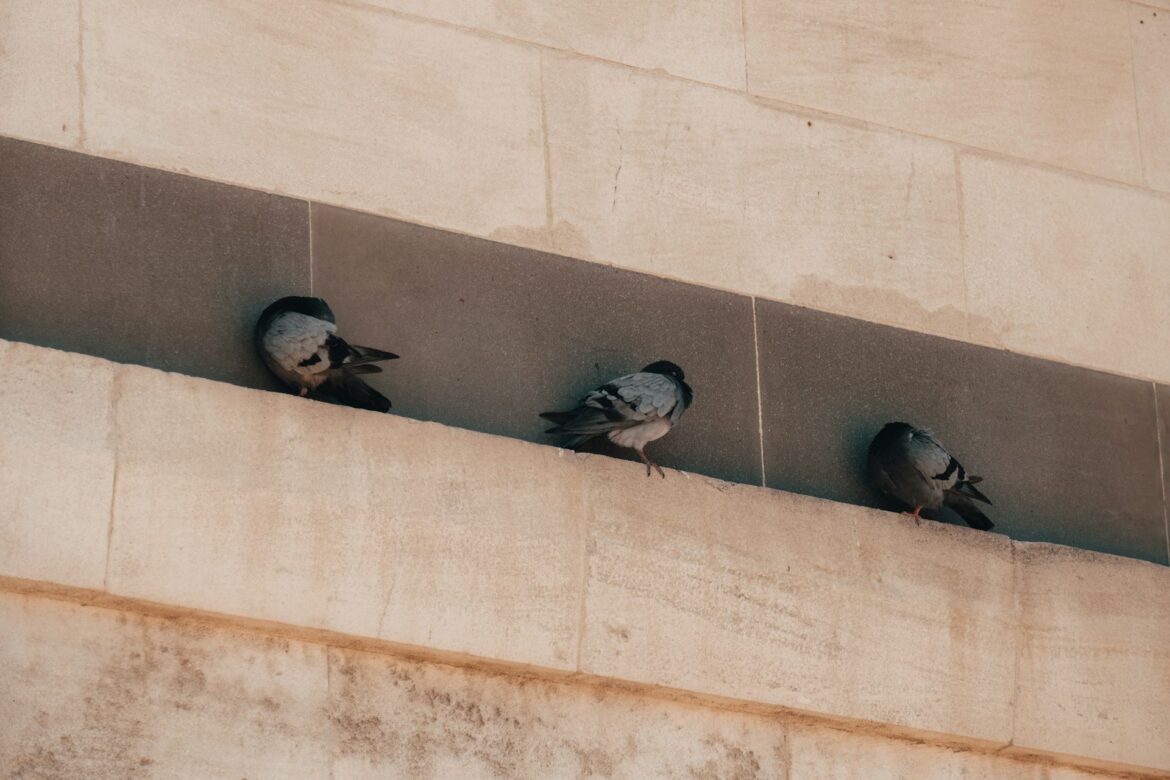 kaja-sariwating-V33Nbejn9ng-unsplash