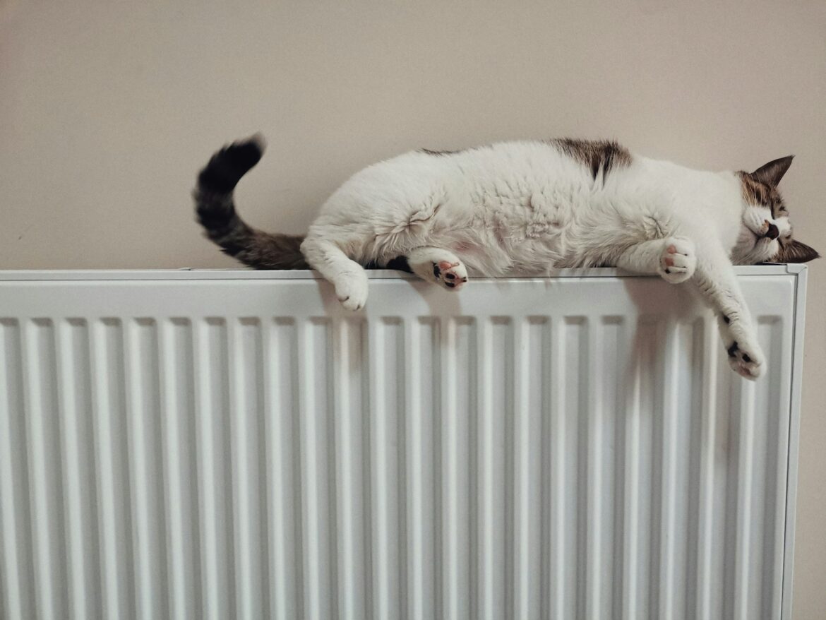 Een nieuwe radiator uitzoeken? Denk aan comfort, uitstraling en de toekomst